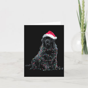 Funny Newfoundland Christmas Graphic Dog Lights Lo Card