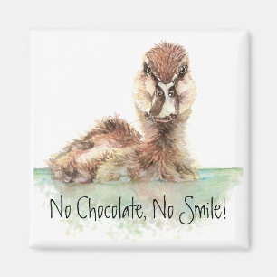 Funny, No Chocolate, No Smile, Angry Duck, Bird Magnet
