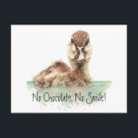 Funny, No Chocolate, No Smile, Angry Duck, Bird Postcard<br><div class="desc">Funny,  No Chocolate,  No Smile,  Angry Duck,  Bird</div>