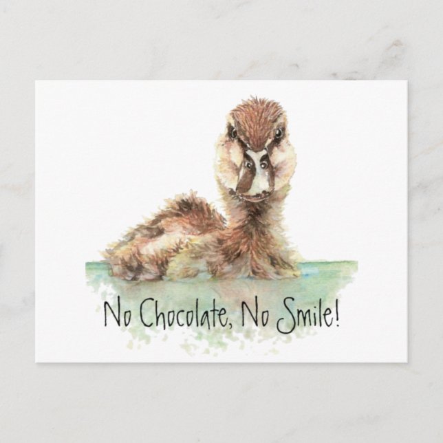Funny, No Chocolate, No Smile, Angry Duck, Bird Postcard (Front)