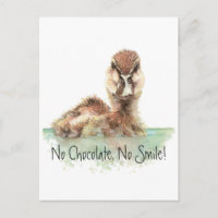 Funny, No Chocolate, No Smile, Angry Duck, Bird