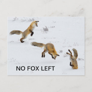 Funny "No Fox Left" Postcard
