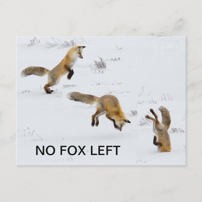 Funny "No Fox Left" Postcard (Front)