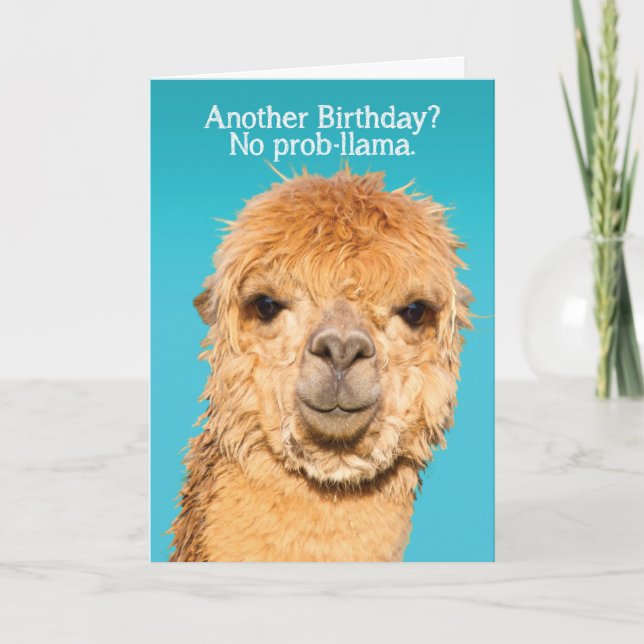Funny No Problama Llama Birthday Wisdom Card (Front)