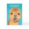 Funny No Problama Llama Birthday Wisdom