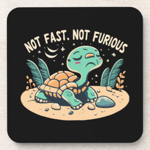 Funny Not Fast Not Furious Coaster