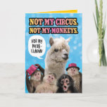 Funny Not My Circus, Not My Monkeys Birthday Llama Card<br><div class="desc">This llama is surrounded by monkeys! The card says,  "Not my circus. Not my monkeys." The llama is saying,  "Not my probllama!" A little play on words. Inside the card says,  "It's YOUR circus and YOUR monkeys! Happy Birthday!</div>