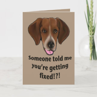 Funny Obtenir la carte de bien pour les chiens