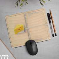 Funny Office Gift Mouse Trap Novelty