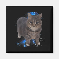 Funny Oiia Oiia Spinning Cat Meme Cat Brainrot