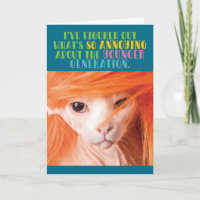 Funny Old Cat Annoying Younger Generation