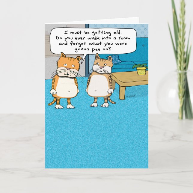 Funny Old Cat Birthday Card (Front)