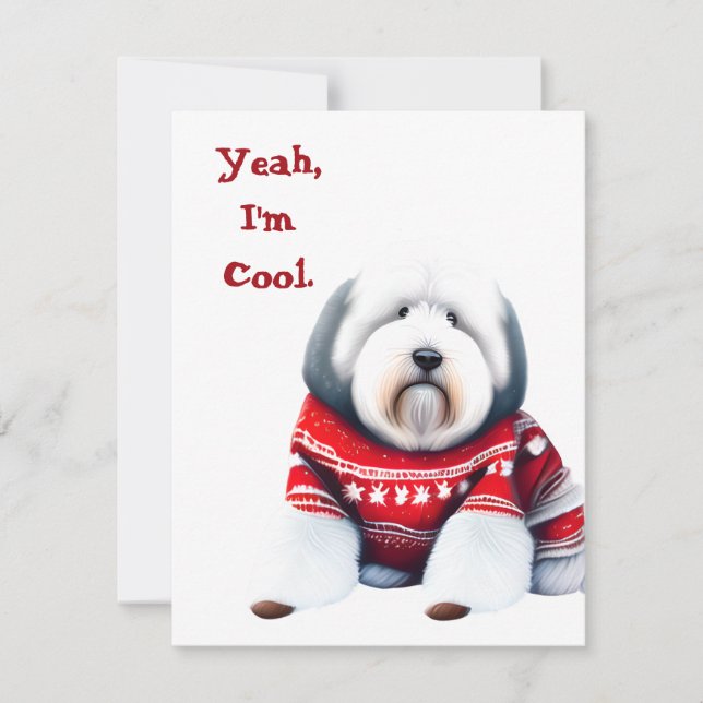 Funny Old English Sheepdog in Christmas Sweater Holiday Card (Front)