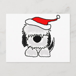 Funny Old English Sheepdog in Santa Hat Holiday Postcard