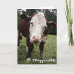 Funny Old Fart Cow Birthday Card<br><div class="desc">This white faced brown hereford beef steer sticks his big slobbery tongue out at you. Captured in a close up colour photograph. with the written version of "blowing a raspberry" on the front, and a sarcastic older and wiser comment on the inside. Customize any item with your own saying or...</div>