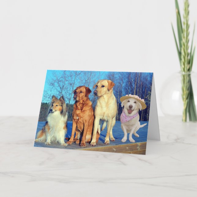 Funny One of a Kind Lab Birthday Card (Front)