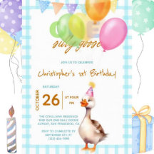 Funny One Silly Goose Blue Boy 1st Birthday