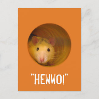 Funny Optical Illusion Rat in Hole Postcard