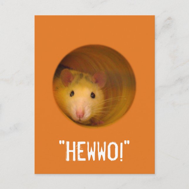 Funny Optical Illusion Rat in Hole Postcard (Front)