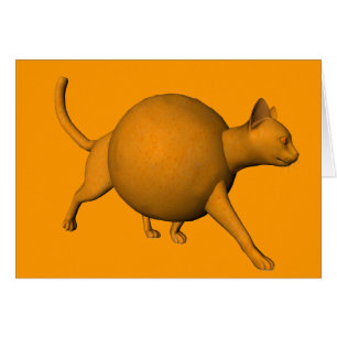 Funny Orange Cat