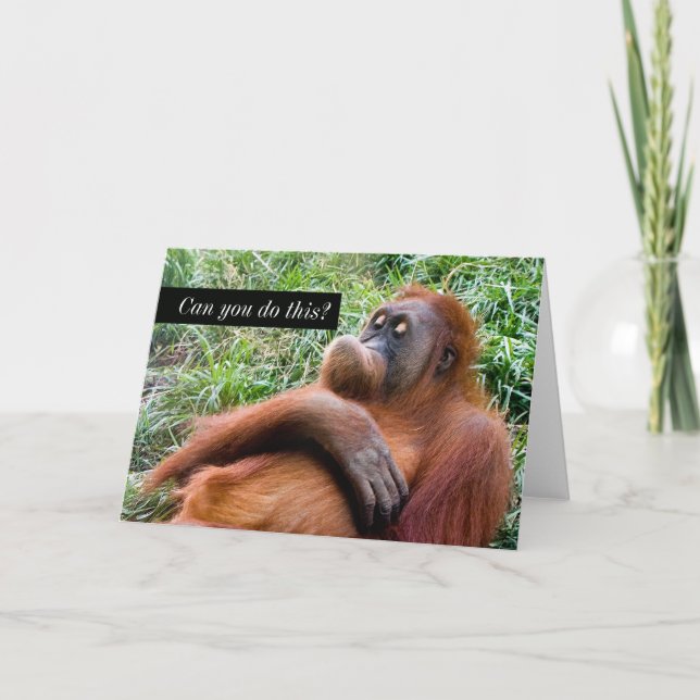 Funny Orangutan Greeting Card (Front)