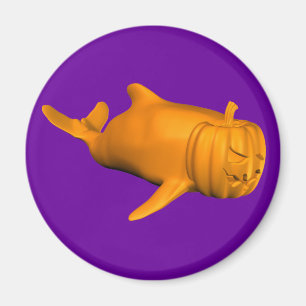 Funny Orcinus orca Magnet