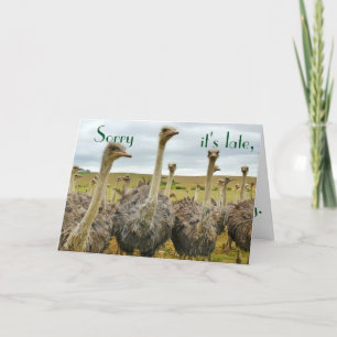 Funny Ostrich belated birthday card