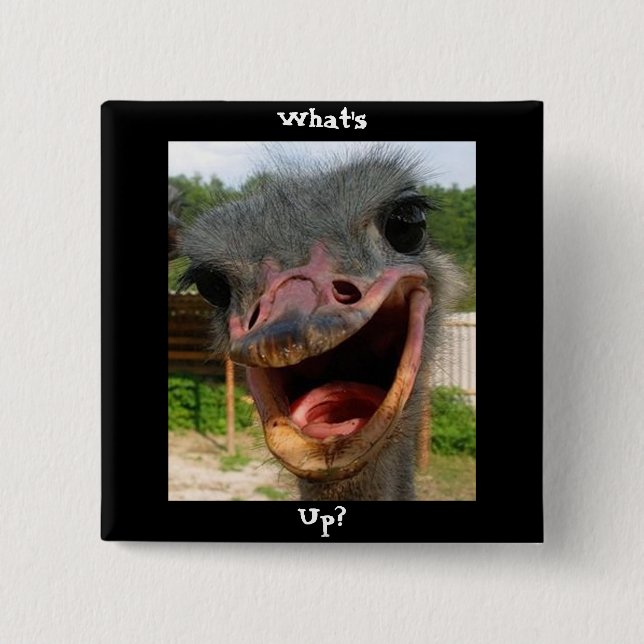 Funny Ostrich Bird Photo What's Up 2 Inch Square Button (Front)