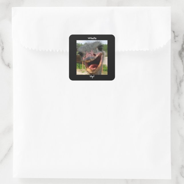 Funny Ostrich Bird Photo What's Up Square Sticker (Bag)