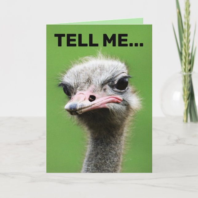 FUNNY OSTRICH BIRTHDAY CARDS (Front)