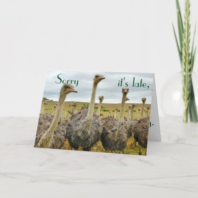 Funny Ostrich carte d'anniversaire tardive (Devant)