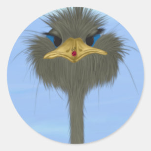 Funny Ostrich George And The Cute Ladybug Classic Round Sticker