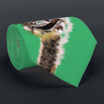 Funny Ostrich Tie Green or Choose Colour<br><div class="desc">Happy Funny Ostrich Ties - Text Smile - or Choose / add your favourite tie colour ! - Add Your special text / name / more ! MIGNED Painting Design</div>