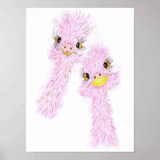 Funny Ostriches Poster  (Front)