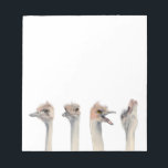 Funny Ostriches Watercolor Illustration Notepad<br><div class="desc">This is a painting of an ostrich I met at Como Zoo in St. Paul,  MN. He was really expressive and was a great subject to take pictures of. Later I painted his different expressions in watercolor.</div>