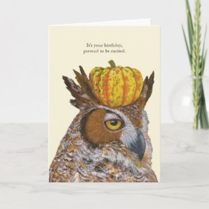 Funny owl birthday card