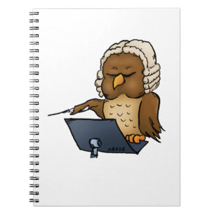Funny Owl Conductor Cartoon Notebook
