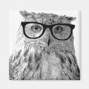 Funny owl magnet   Bird with glasses