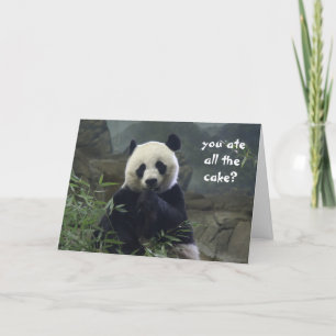 Funny Panda Birthday, no cake? BAMBOOzled! Card