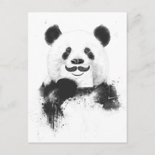 Funny panda postcard
