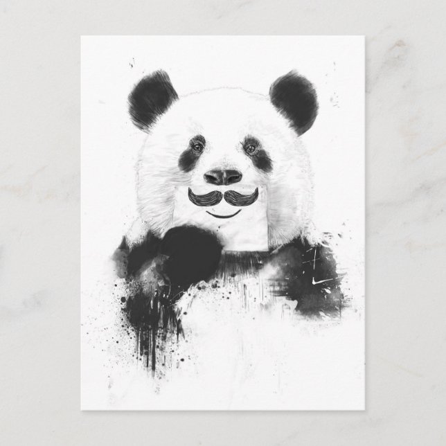 Funny panda postcard (Front)