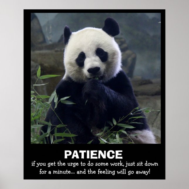 Funny Panda Poster, PATIENCE Poster (Front)