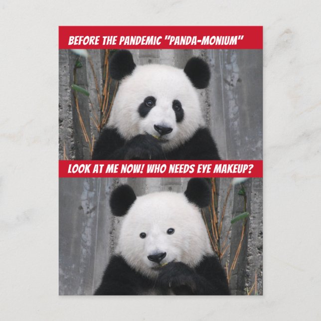 Funny Pandemic Panda-Monium Before and After Postcard (Front)