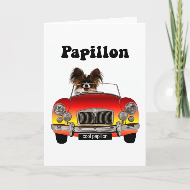 Funny Papillon Card (Front)