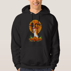 Funny Papillon Dog Witch Pumpkin Happy Halloween C Hoodie