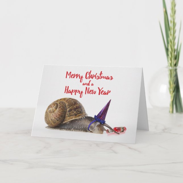 Funny Party Snail Christmas Card #2 (Front)