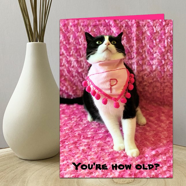 Funny Peaches the Tuxedo Cat Birthday Card (Creator Uploaded)