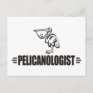 Funny Pelican Postcard