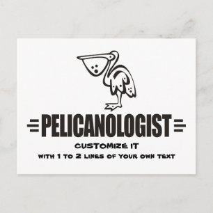 Funny Pelican Postcard