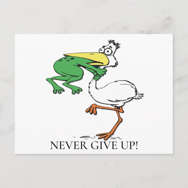 Funny Pelican Postcard (Front)